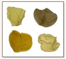 Colors of the clay.